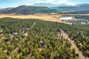 15 Co Rd 2019, Nutrioso, AZ 85932 - Photo 44