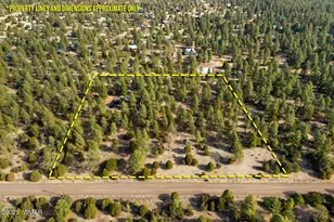 15 Co Rd 2019, Nutrioso, AZ 85932 - Photo 4