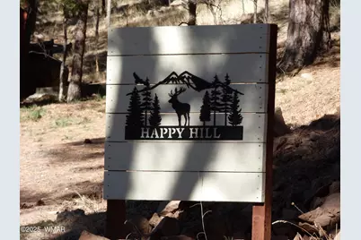 14 &amp; 16 N Cr 2057, Alpine, AZ 85920 - Photo 4