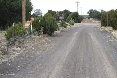 39 County Road 3034, Concho, AZ 85924 - Photo 12