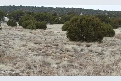 39 County Road 3034, Concho, AZ 85924 - Photo 10