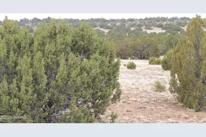 39 County Road 3034, Concho, AZ 85924 - Photo 2