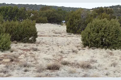 39 County Road 3034, Concho, AZ 85924 - Photo 6