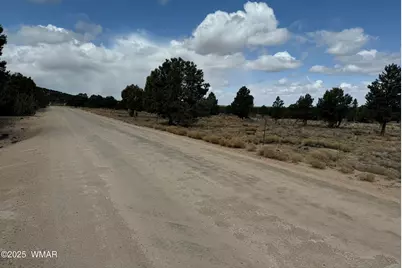3187 Tbd, Vernon, AZ 85940 - Photo 4