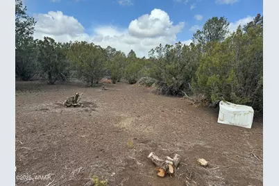 3187 Tbd, Vernon, AZ 85940 - Photo 8