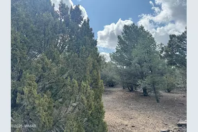 3187 Tbd, Vernon, AZ 85940 - Photo 10