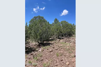 36 N 3321, Vernon, AZ 85940 - Photo 6