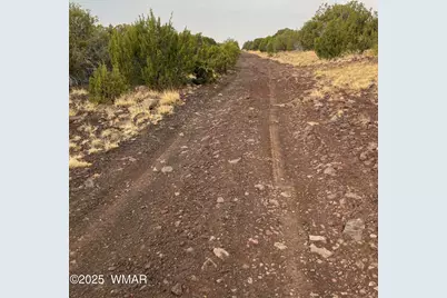 36 N 3321, Vernon, AZ 85940 - Photo 12