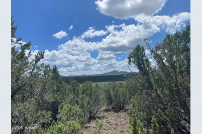 36 N 3321, Vernon, AZ 85940 - Photo 1