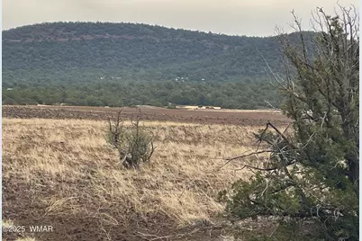 36 N 3321, Vernon, AZ 85940 - Photo 24