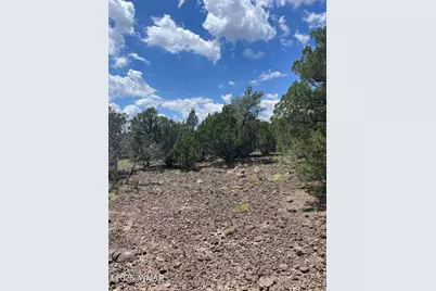 36 N 3321, Vernon, AZ 85940 - Photo 4