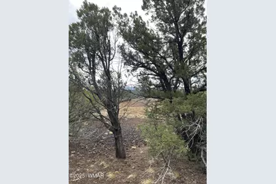 36 N 3321, Vernon, AZ 85940 - Photo 18