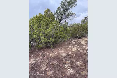 36 N 3321, Vernon, AZ 85940 - Photo 20