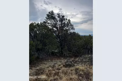 36 N 3321, Vernon, AZ 85940 - Photo 10