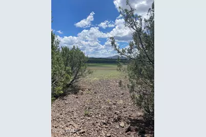 36 N 3321, Vernon, AZ 85940 - Photo 2