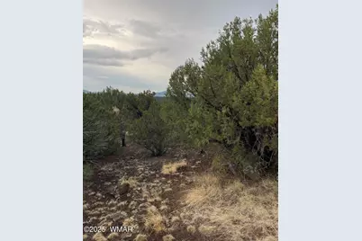 36 N 3321, Vernon, AZ 85940 - Photo 16