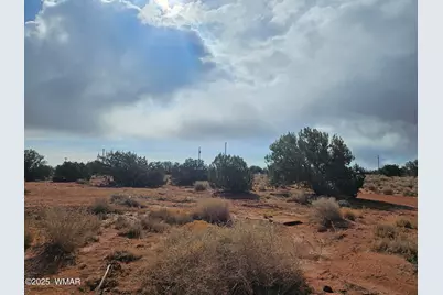 15 North 9079, Concho, AZ 85924 - Photo 4