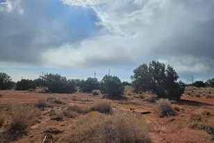 15 North 9079, Concho, AZ 85924 - Photo 4