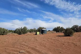 15 North 9079, Concho, AZ 85924 - Photo 14