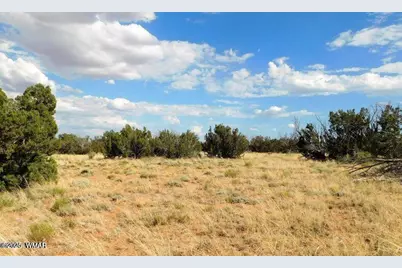 6251 Dry Pasture Run Lot 216, Heber, AZ 85928 - Photo 4