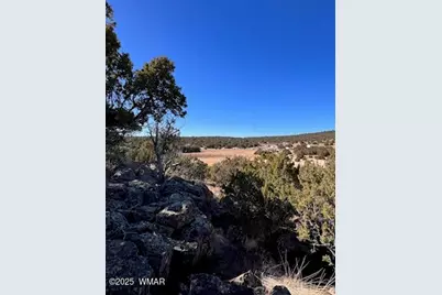 002P N8689, Concho, AZ 85924 - Photo 10