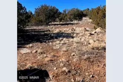 002P N8689, Concho, AZ 85924 - Photo 2