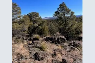 002P N8689, Concho, AZ 85924 - Photo 16