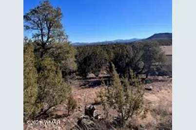 002P N8689, Concho, AZ 85924 - Photo 4