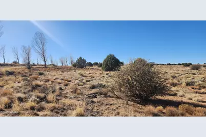 1251 Harvest Circle, Taylor, AZ 85939 - Photo 4