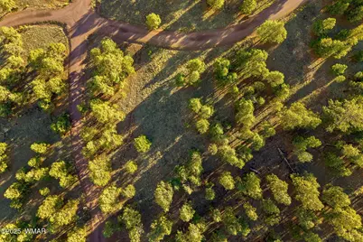 7 N County Road #1332 Street, Unit 46, Greer, AZ 85927 - Photo 4