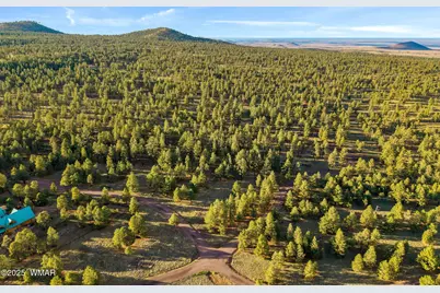 7 N County Road #1332 Street, Unit 46, Greer, AZ 85927 - Photo 6