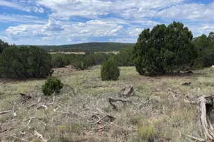 35 Burns Rd, Concho, AZ 85924 - Photo 1