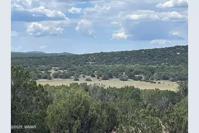 35 Burns Road, Concho, AZ 85924 - Photo 4