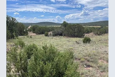 35 Burns Road, Concho, AZ 85924 - Photo 2