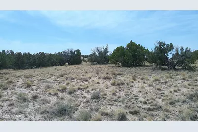 Tbd St. John's, Saint Johns, AZ 85936 - Photo 4