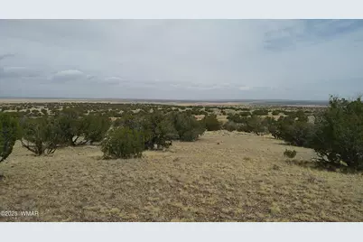 Tbd St. John's, Saint Johns, AZ 85936 - Photo 10