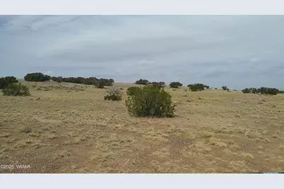 Tbd St. John's, Saint Johns, AZ 85936 - Photo 2