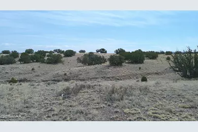 Tbd St. John's, Saint Johns, AZ 85936 - Photo 8