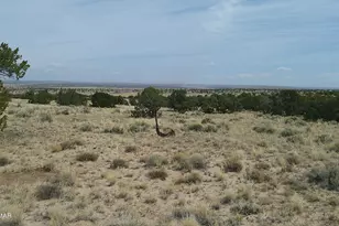 Tbd St John's, Saint Johns, AZ 85936 - Photo 1