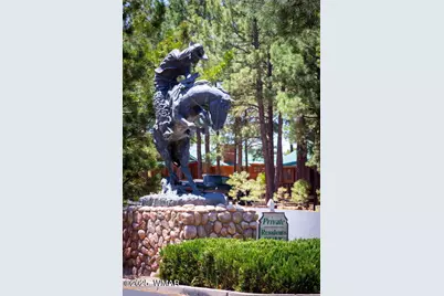 2407 Quarter Horse Trail, Unit 131 #131, Overgaard, AZ 85933 - Photo 42