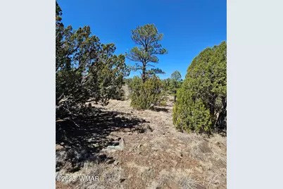 105 Co Rd Road, Vernon, AZ 85940 - Photo 12