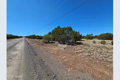 105 Co Rd Road, Vernon, AZ 85940 - Photo 1