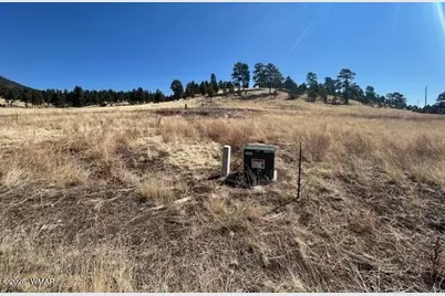 6 County Road 2331, Alpine, AZ 85920 - Photo 4