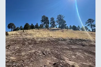 6 County Road 2331, Alpine, AZ 85920 - Photo 10