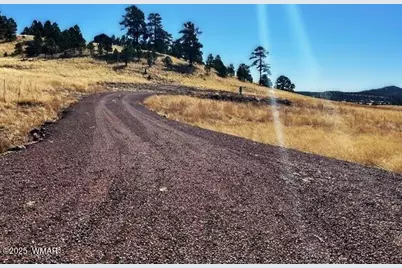 6 County Road 2331, Alpine, AZ 85920 - Photo 2