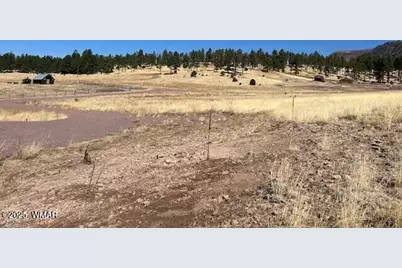 6 County Road 2331, Alpine, AZ 85920 - Photo 14