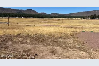 6 County Road 2331, Alpine, AZ 85920 - Photo 12