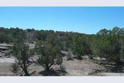 8581 Justin Lane, Snowflake, AZ 85937 - Photo 8