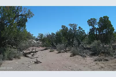 8581 Justin Lane, Snowflake, AZ 85937 - Photo 14