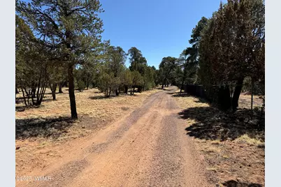 3050 Chevelon Road, Overgaard, AZ 85933 - Photo 30